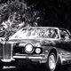 Image for article titled The Nine Lives of Evel Knievel, the Superstar Who Wanted to Jump the Grand Canyon
